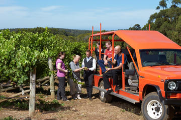 Voyager Estate Winery Tour and Tasting with Optional 2-Course Lunch or 6-Course Vineyard-to-Table Experience