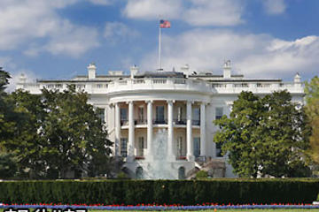Washington DC Day Trip from New York by Amtrak with Japanese Guide