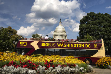 Washington DC Hop-On Hop-Off Tour