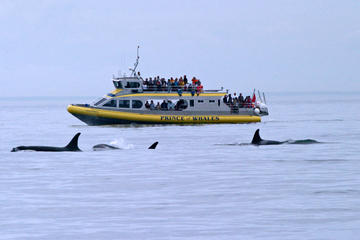 Whale-Watching Cruise from Victoria and Butchart Gardens Admission