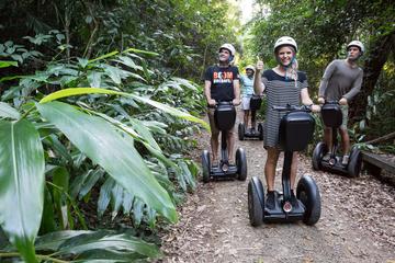 Whitsunday Segway Rainforest Discovery Tour