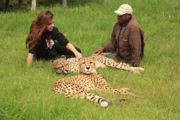 Wild Cat Animal Keeper for the Day and Tour