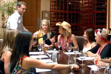 Wine and Food Pairing Experience at Williamson Wines in Healdsburg