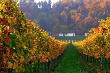 Wine and History Tour to Villany and Pecs from Budapest - Heritage of Hungary