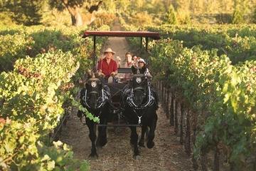 Wine Country Tour by Horse and Carriage