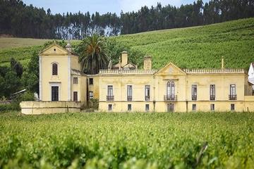 Wine Tour Quinta do Gradil