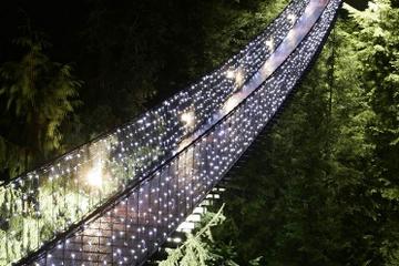Winter Wonderland Adventure at Vancouver's Capilano Suspension Bridge