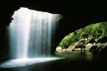 World Heritage Springbrook National Park Tour Including Natural Bridge
