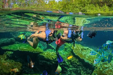 Xel-Ha All-Inclusive Day Trip from Cancun