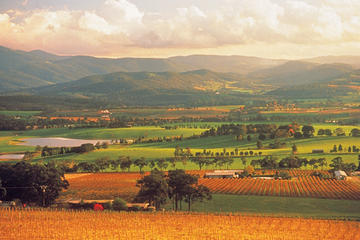 Yarra Valley Wineries and Puffing Billy Steam Train Day Tour from Melbourne