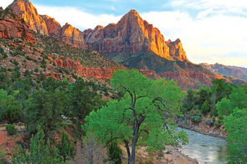 Zion National Park by Tour Trekker