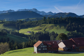 Zurich Super Saver: Swiss Countryside Day Trip plus Zurich Highlights Tour